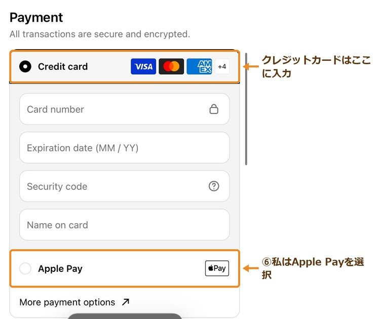 Laphontの支払い方法選択画面。クレジットカードのほかApple Payも選べる