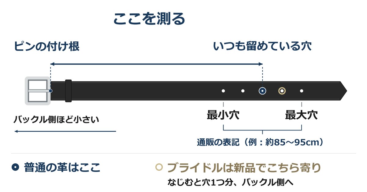 ベルトのサイズの測り方。ピンの付け根からいつも留める穴までを測り、最小穴〜最大穴の真ん中に入るサイズを選ぶ
